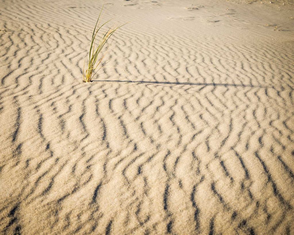 desert photography