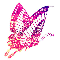 doublexposure butterfly filter freetoedit