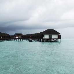 maldives trip travel ocean sea
